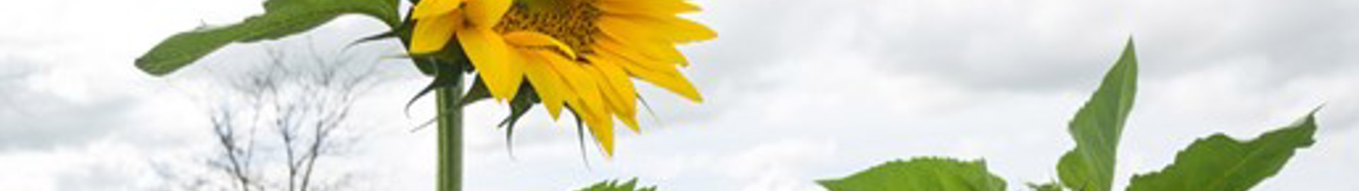 ZDTP Focus Farmers share best practice